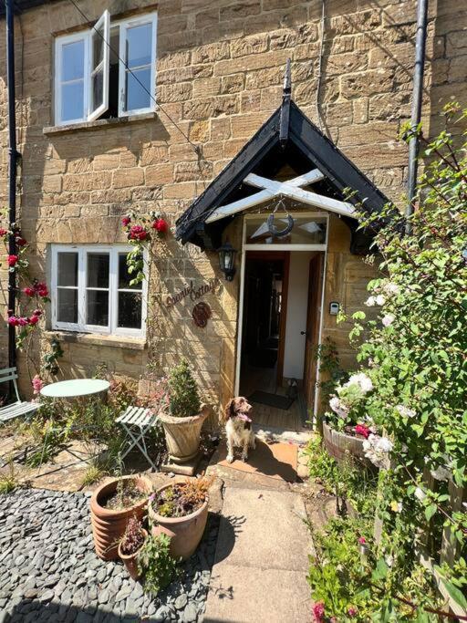 Spaniel Cottage With Views Of Ham Hill, Stoke Sub Hamdon Martock Exterior foto