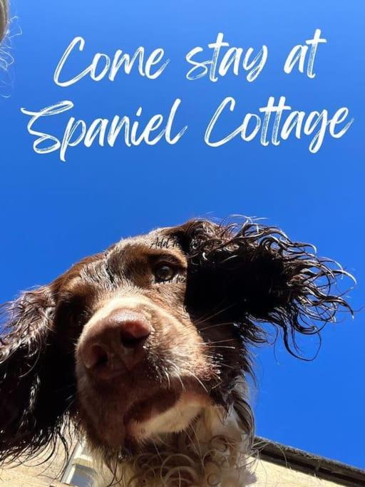 Spaniel Cottage With Views Of Ham Hill, Stoke Sub Hamdon Martock Exterior foto